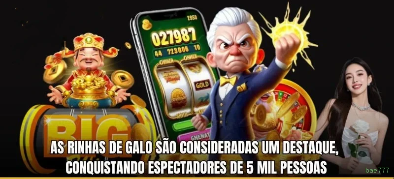 Segurança bae777 SSL
